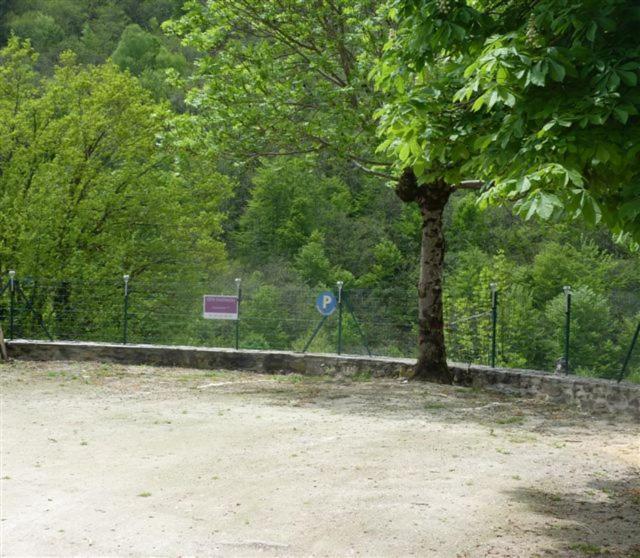 Chambre D'Hotes Cadravals Belcastel Aveyron Bagian luar foto